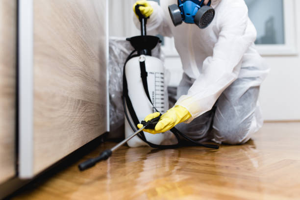 Best Residential Pest Control  in American Fork, UT