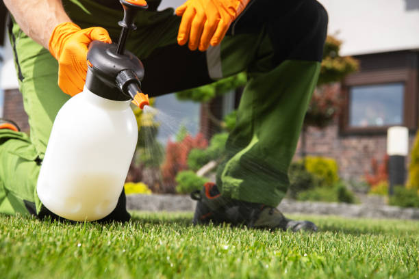 Best Pest Prevention Services  in American Fork, UT
