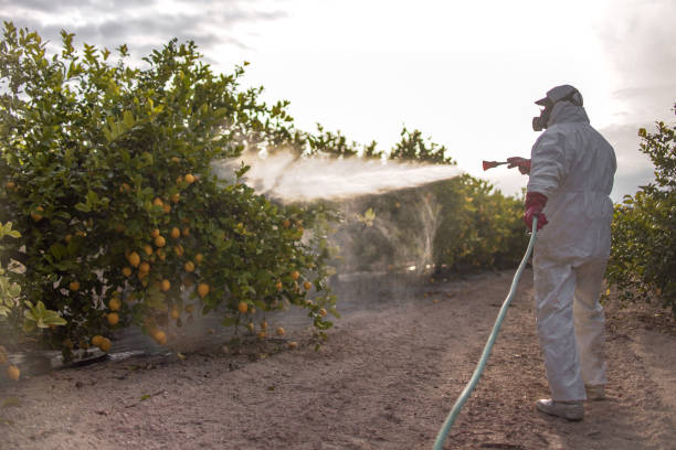 Best Spider Control Near Me  in American Fork, UT